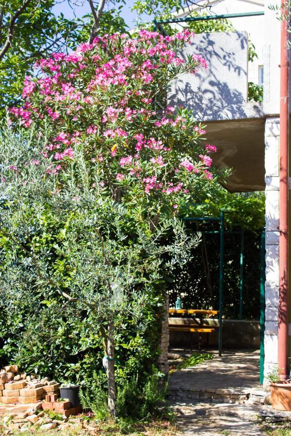 Bilini Garden Apartment Пула Екстериор снимка